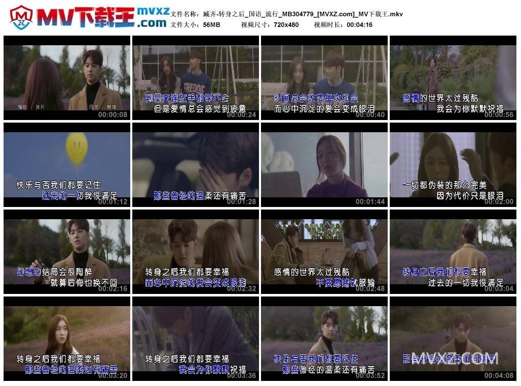 臧齐-转身之后_国语_流行_MB304779